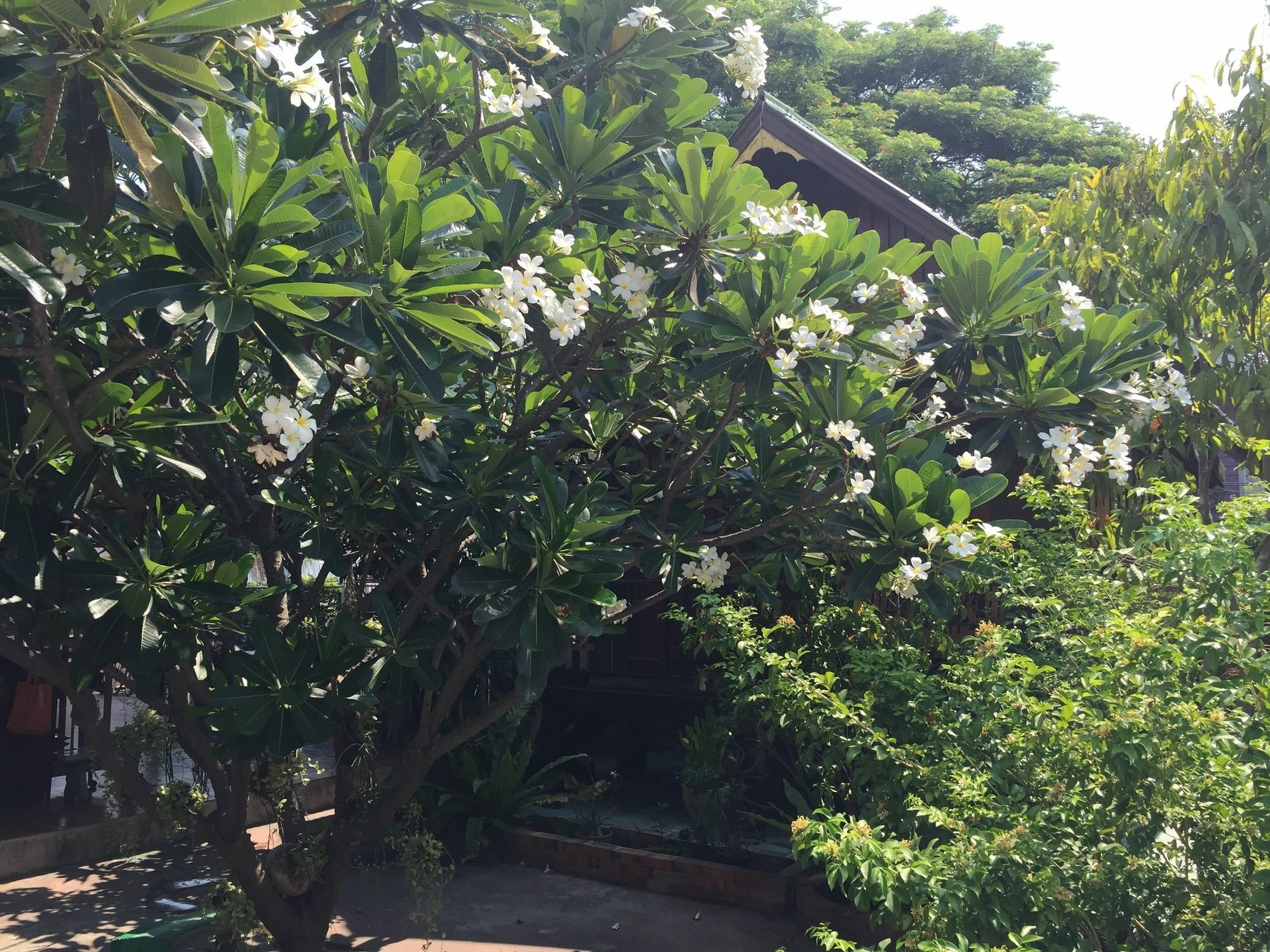 Baan Kong Homestay Аюттхая Екстер'єр фото